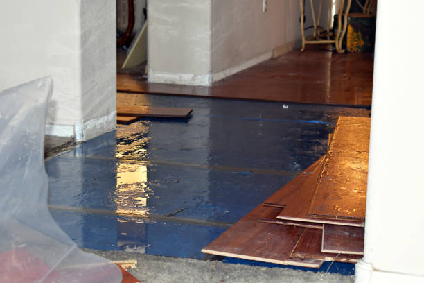 Professional Basement Flood Cleanup technician working in Kitts Hill, OH